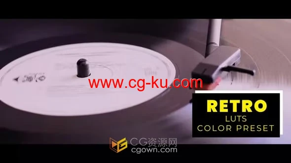 12种Retro LUTs 复古风格视频调色LUTs预设的图片1