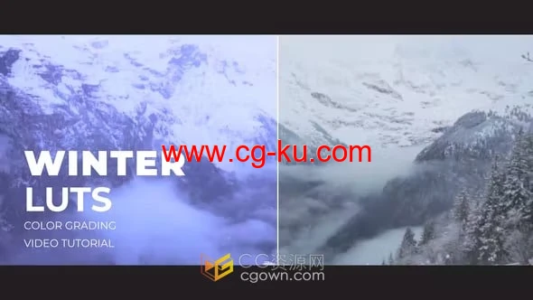 Winter LUTs 12组冬天季节主题视频调色预设的图片1