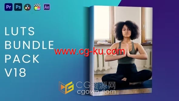 LUTs Bundle Pack V18 LUTs预设视频调色40种的图片1