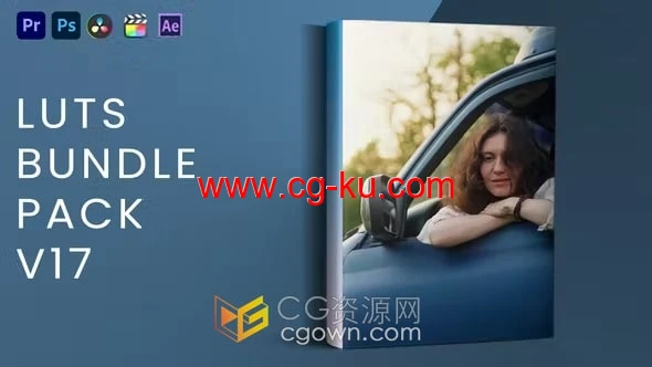 20个LUTs预设视频调色LUTs Bundle Pack V17的图片1