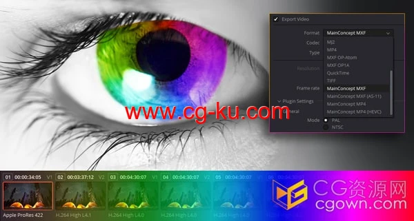 达芬奇视频渲染编解码器输出插件MainConcept Codec Plugin DaVinci Resolve v1.4的图片1