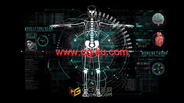 HUD Info Medical信息医疗人体科技信息图动画-AE模板的图片1