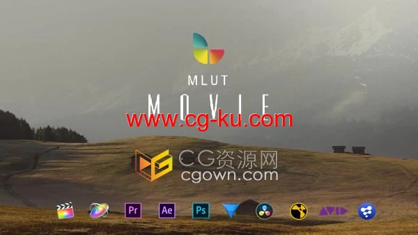 mLUT Movie 30种专业电影大片氛围视频调色LUTs预设的图片1