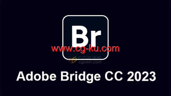 Adobe Bridge 2023 v13.0.3.693新版软件下载的图片1