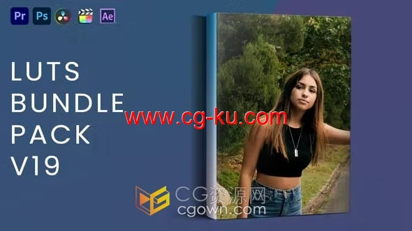 20组cube格式专业调色预设文件LUT Bundle Pack V19的图片1