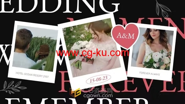 创意花卉元素婚礼请柬视频动态婚宴邀请函-AE模板的图片1