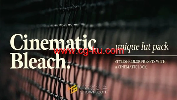 免费下载模拟漂白胶片化学效果Cinematic Bleach LUTs调色预设的图片1