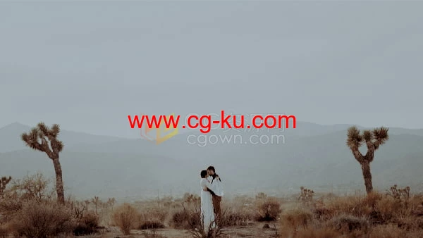The Journey LUTS户外旅拍风景黑白5种调色预设免费下载的图片1