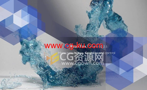 C4D 2023版本RealFlow中文汉化插件免费下载的图片1