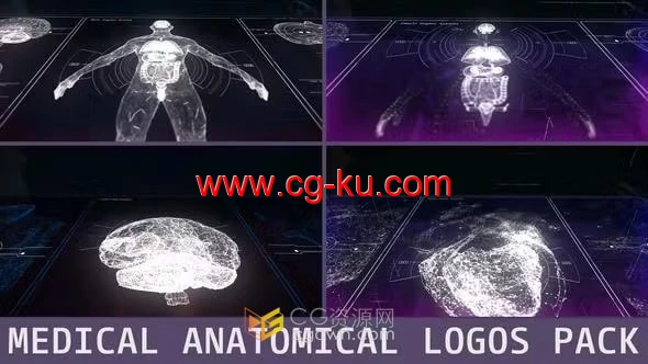 AE模板-医学解剖HUD标志高科技技术动画的图片1